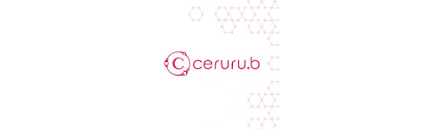 日本ceruru.B